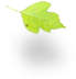 s-l-2